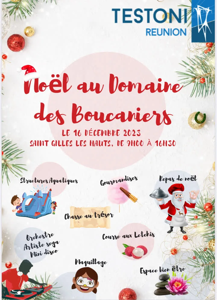 Affiche de l'arbre de Noël d'entreprise Testoni au Domaine des Boucaniers à La Réunion, par Pull Up Événements